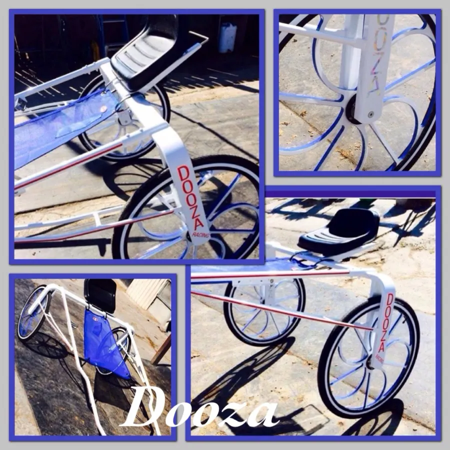 Collage of Amy Day’s new Dooza race sulky with a blue frame